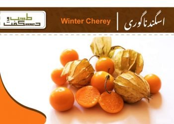 Somnifera Withania(ashwagandha remedies)