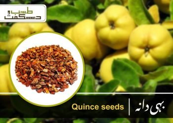 (quince seeds)