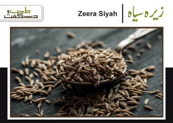 رُودرونتی ۔رودنتی