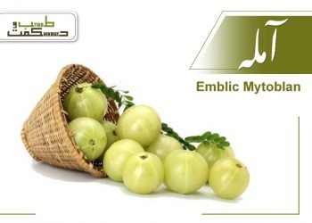 (indian gooseberry uses) (emblic myrobalan)