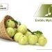 (indian gooseberry uses) (emblic myrobalan)