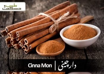 (dalchini) (benefits of cinnamon)