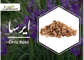 (orris root)