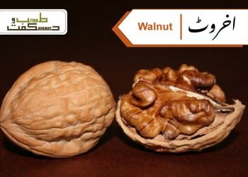 walnut(akhrot benefits)