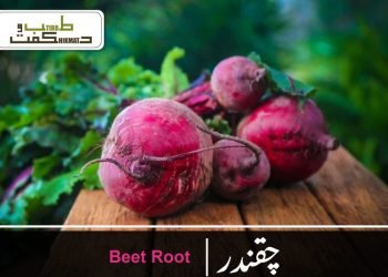 beet root