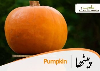 (pumpkin) paytha