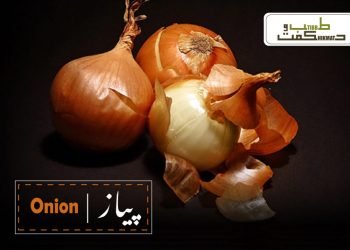 (benefits of onion)piaz