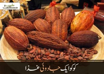 کو کو  ایک جادوئی غذا