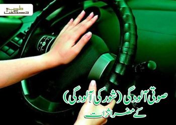 صوتی آلودگی (شور کی آلودگی) کے مضر اثرات