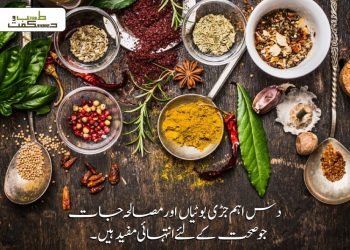 دس اہم جڑی بوٹیاں اور مصالحہ جات جو صحت ے لئے انتہائی مفید ہیں۔