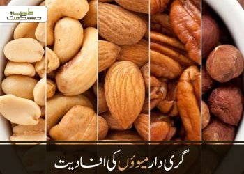 گری دار میوؤں کی افادیت