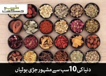 دنیا کی 10 سب سے مشہور جڑی بوٹیاں