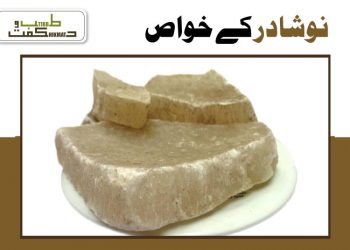نوشادر کے خواص