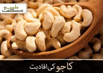کاجو کی افادیت