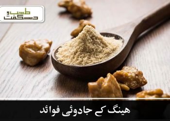 ہینگ کے جادوئی فوائد