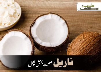 ناریل صحت بخش پھل