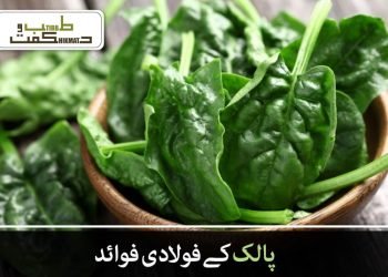 پالک کے فولادی فوائد