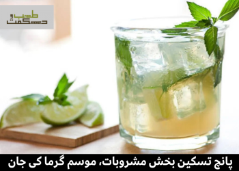 پانچ تسکین بخش مشروبات، موسم گرما کی جان