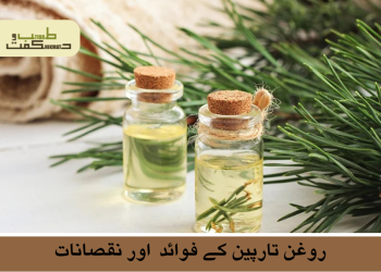 روغن تارپین کے فوائد  اور نقصانات