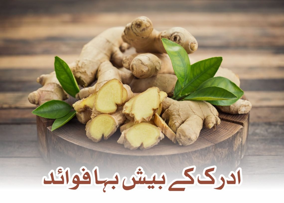 ادرک کے بیش بہا فوائد
