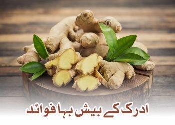 ادرک کے بیش بہا فوائد