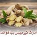 ادرک کے بیش بہا فوائد