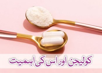 کولیجن اور اس کی اہمیت