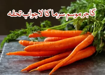 گاجر،  موسم سرما کا لاجواب تحفہ