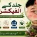 جلد کے انفیکشن: علامات، اقسام، تاریخ اور یونانی طریقۂ علاج